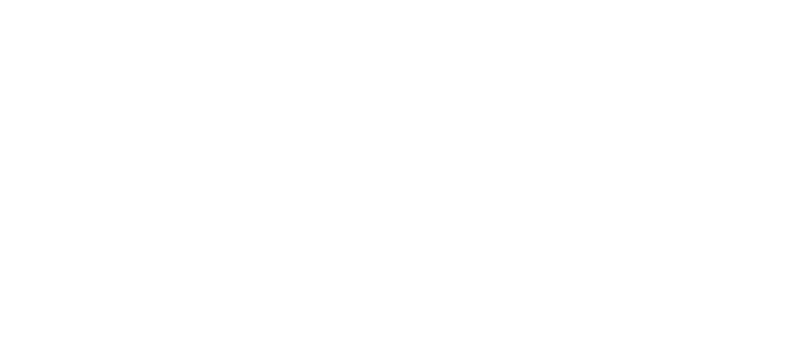 19WRIB Logo_white 19WRIB Logo_white