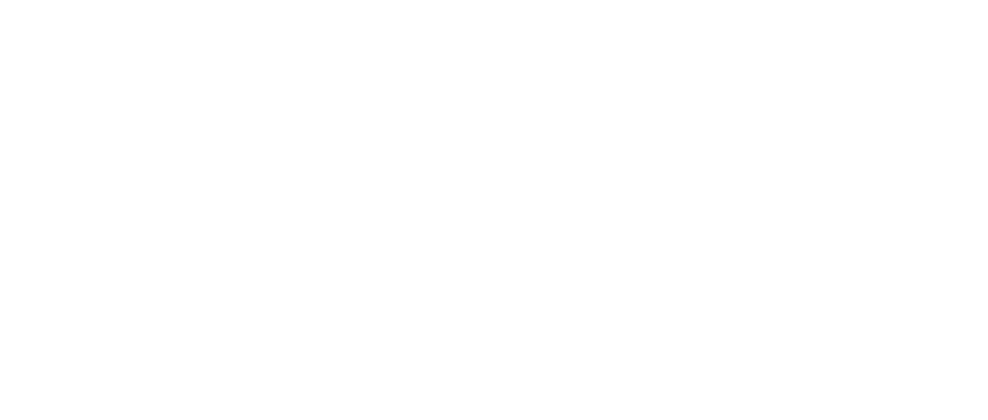 20WRIB Logo_white (1)